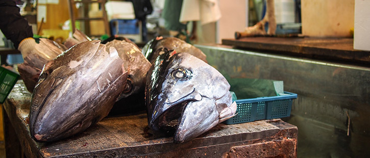 Fish-Market-725x310px
